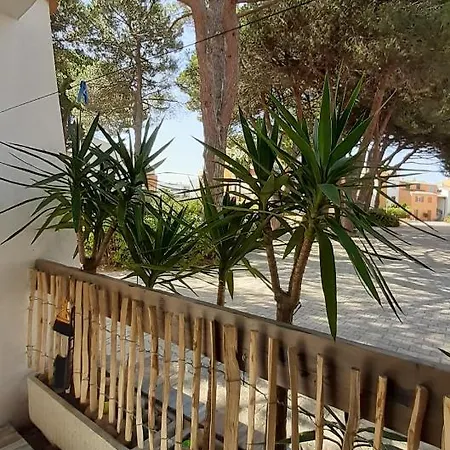 T2bis Les Yuccas 200 M Du Boucanet Rive Droite Grau Du Roi Ideal 2-4 Pers 3 Etoiles Camargue Village Le Grau-du-Roi