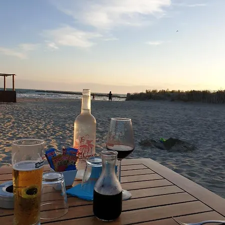 Appartement T2bis Les Yuccas 200 M Du Boucanet Rive Droite Grau Du Roi Ideal 2-4 Pers 3 Etoiles Camargue Village